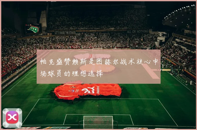 帕克盛赞赖斯是图赫尔战术核心中场球员的理想选择